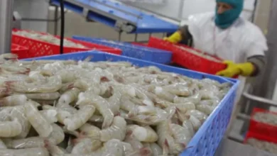 Ecuador tiene el arancel más bajo en la guerra comercial de EE UU