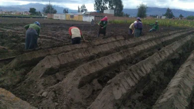 Elecciones 2025: propuestas para el seguro social de candidatos a la Presidencia.