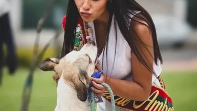 Reina de Ambato promueve campaña para mascotas.