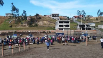 Venta de animales enfrenta precios bajos en Bolívar