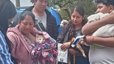Esterilización gratis en Riobamba: requisitos y formulario