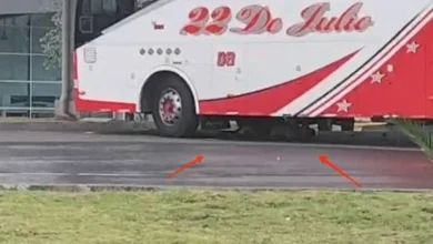 Hombre muere tras ser atropellado por un bus.