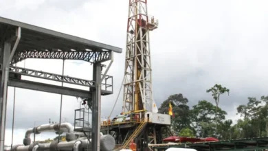 Petroecuador lanza nueva campaña de perforación para incrementar producción petrolera en la Amazonía.