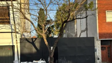 Encuentran huesos humanos en casa donde vivió Gustavo Cerati