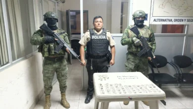 Fuerzas Armadas decomisan droga en operativo en Bolívar