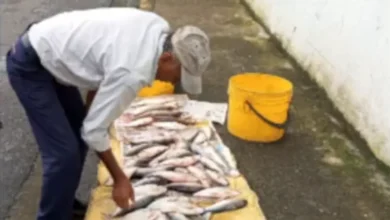 Mercado de Bolívar bajo control por ventas ilegales