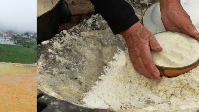 Minas de sal ancestral sorprenden en Salinas Bolívar