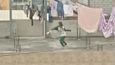 Video: Niña que golpea a gato en Ecuador es captada en cámara