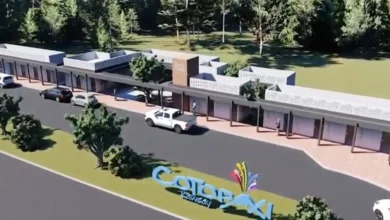 Cotopaxi tendrá Centro de Acopio de Flores para exportación