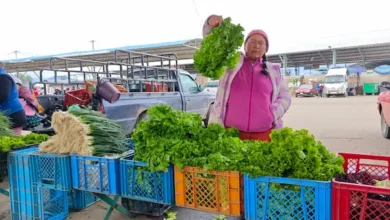 Mercado Mayorista vende alimentos con calidad de supermercado