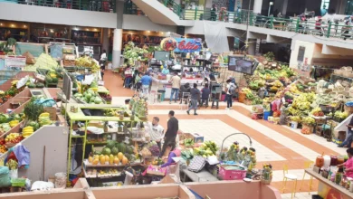 Mercado Modelo de Ambato tendrá ascensor y gradas eléctricas.