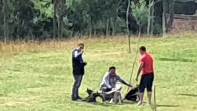 Joven denuncia agresión de perros por tenencia irresponsable