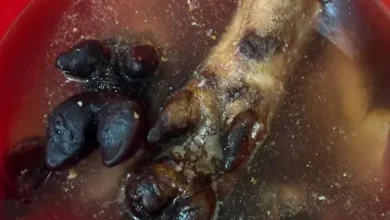 Arcsa clausura restaurante en Riobamba por comida podrida