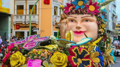 Fiesta de la Fruta y de las Flores 2026: concurso para carros alegóricos