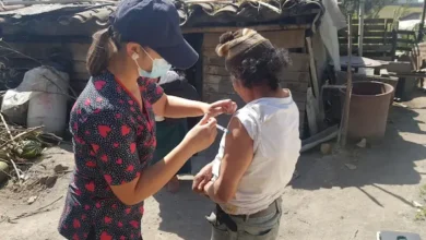 Nuevas vacunas Ecuador: lo que debes saber desde agosto