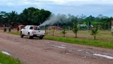 Taisha inicia fumigación contra dengue y fiebre amarilla.