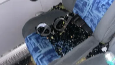 9 delincuentes asaltaron bus de Transportes Patria