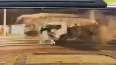 Terrible choque de camiones deja un muerto y un herido