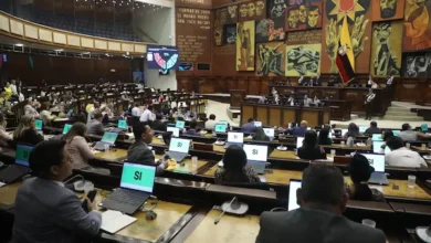 Consulta popular reducir a la mitad los asambleístas