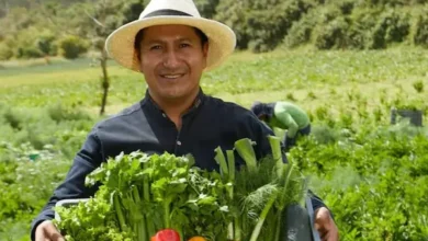 Crédito 7x7 de BanEcuador: financiamiento para pequeños agricultores