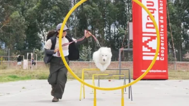 Curso de adiestramiento canino finalizó con entega de certificados