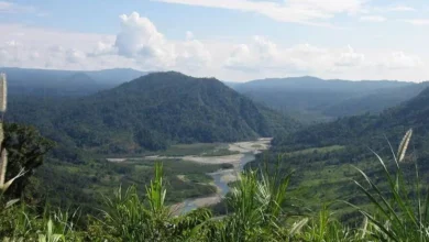 Encuentran restos arqueológicos de 2 culturas ancestrales en Morona.
