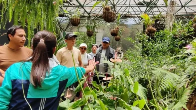 Actividades para el feriado del 9 de octubre en Ambato.