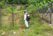 Macas refuerza acciones para prevenir y controlar el dengue.