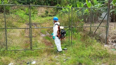 Macas refuerza acciones para prevenir y controlar el dengue.