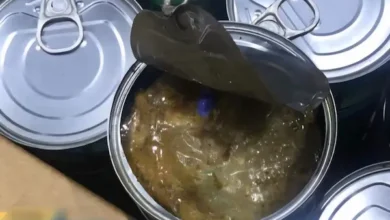 Hombre que escondía droga en latas de atún va a juicio