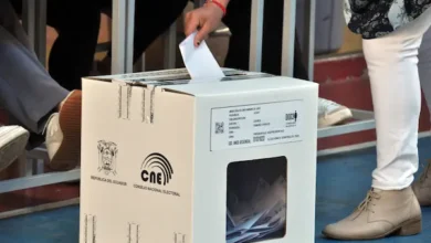 Referendúm y Consulta Popular 2025 resultados