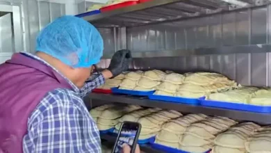 Arcsa clausura fábrica de empanadas hechas entre ratas y cucarachas