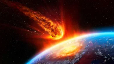 Científicos estiman la próxima gran extinción masiva en la Tierra