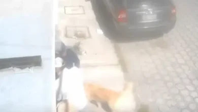 Video | Nueva modalidad de robo en Riobamba