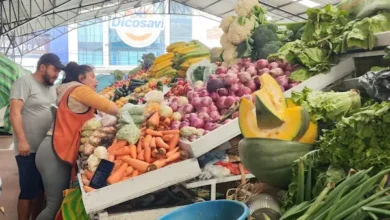 IVA se mantendrá en 15 % en 2026 y crecimiento tributario en 2025