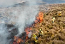 Latacunga registra 10 incendios y 1300 hectáreas afectadas.