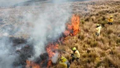 Latacunga registra 10 incendios y 1300 hectáreas afectadas.