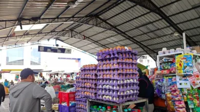 Sobreproducción de huevos y maíz en Ecuador provoca caída de precios