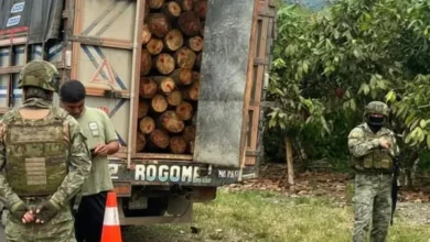 Ejército decomisa más de 5 metros cúbicos de madera ilegal
