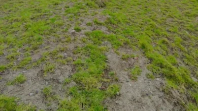 Hombre de Riobamba detenido por estafa de USD 5000