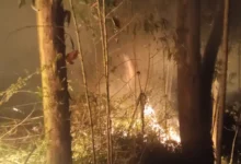 Incendio forestal en Chambo revela emergencia ambiental