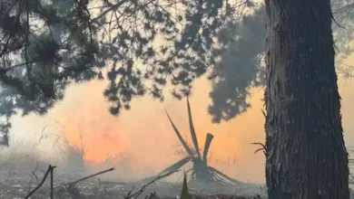 Bomberos Guano apagó incendio forestal en Pungal