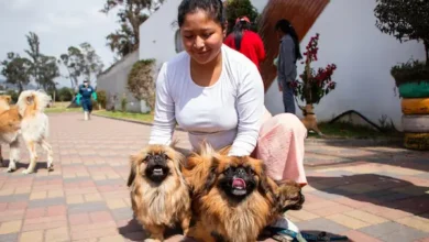 116 perros y gatos fueron esterilizados en Riobamba