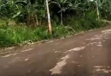 Avanzan trabajos de rasanteo en la vía Caluma - La Esmeralda.