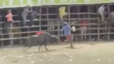 Video | Toro embiste y mata a hombre durante festival