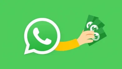 WhatsApp confirma suscripción premium: funicones exclusivas