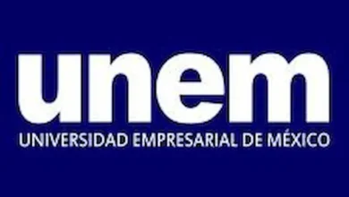 Cursos gratuitos de la UNEM 2026: cómo postular