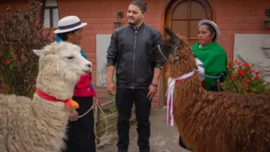 Turismo comunitario: Razones para visitar Palacio Real