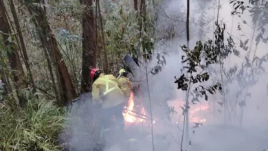 Los vientos avivaban el fuego, a la par del peligro