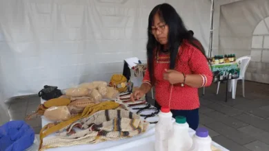 Municipio Riobamba abre talleres gratuitos: cómo inscribirse